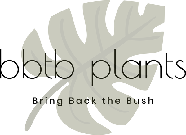 Bring Back the Bush Plants